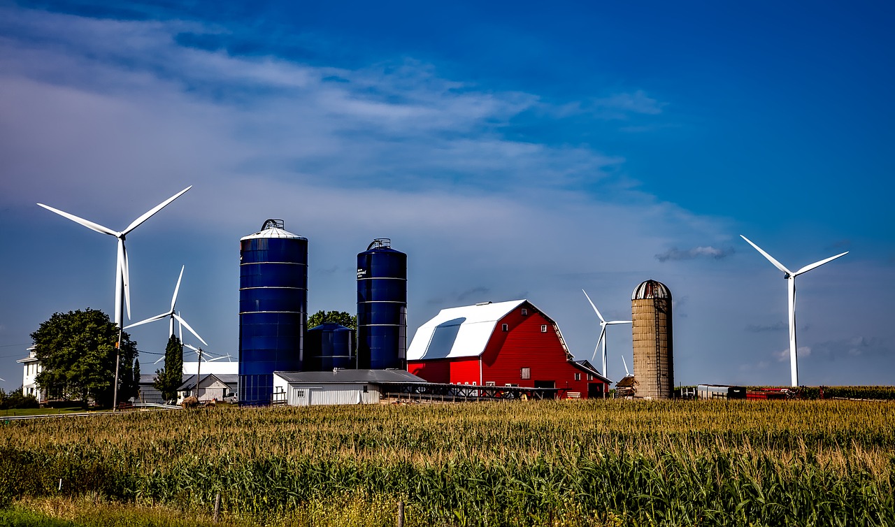Wind Farm in Iowa